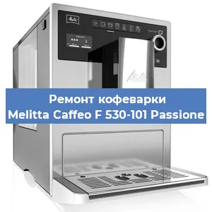 Замена прокладок на кофемашине Melitta Caffeo F 530-101 Passione в Челябинске